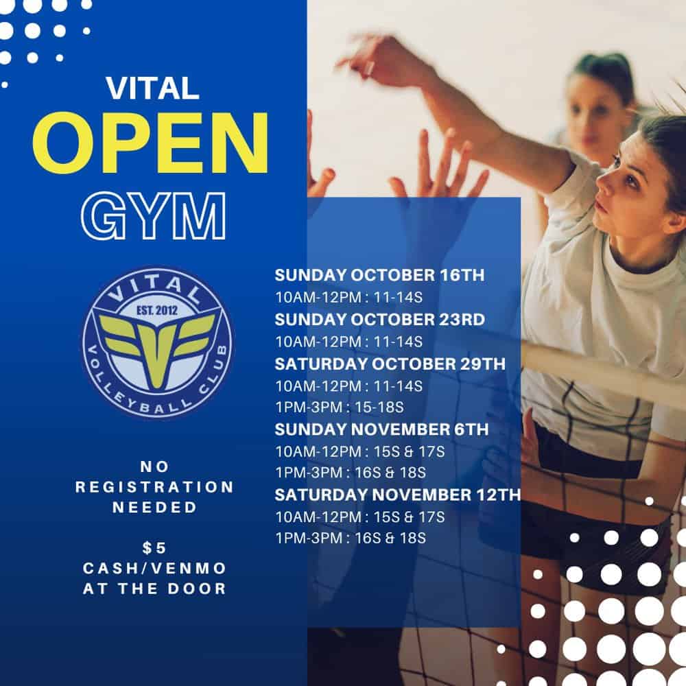 Home Vital Volleyball